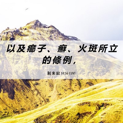 Picture 06 - 利 未 記 14:56 CUVT - 以 及 癤 子 、 癬 、 火 斑 所 立 的 - Bible Verse Picture