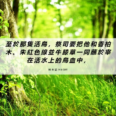 Picture 06 - 利 未 記 14:6 CUVT - 至 於 那 隻 活 鳥 ， 祭 司 要 把 他 - Bible Verse Picture