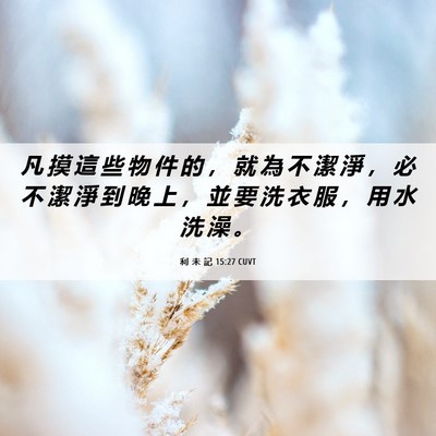 Picture 06 - 利 未 記 15:27 CUVT - 凡 摸 這 些 物 件 的 ， 就 為 不 潔 - Bible Verse Picture