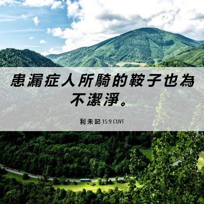 Picture 06 - 利 未 記 15:9 CUVT - 患 漏 症 人 所 騎 的 鞍 子 也 為 不 - Bible Verse Picture