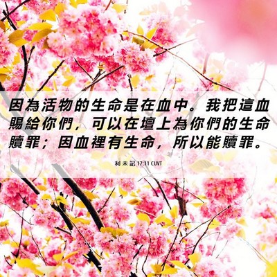 Picture 06 - 利 未 記 17:11 CUVT - 因 為 活 物 的 生 命 是 在 血 中 。 - Bible Verse Picture