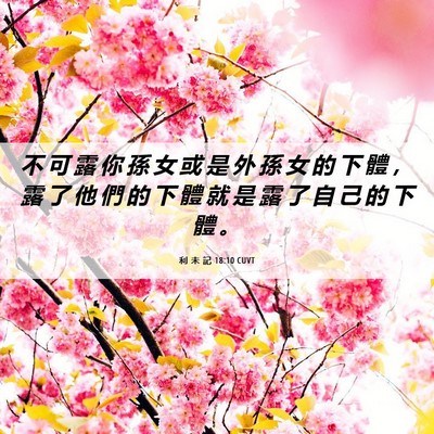 Picture 06 - 利 未 記 18:10 CUVT - 不 可 露 你 孫 女 或 是 外 孫 女 的 - Bible Verse Picture