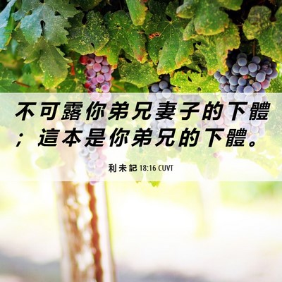 Picture 06 - 利 未 記 18:16 CUVT - 不 可 露 你 弟 兄 妻 子 的 下 體 ； - Bible Verse Picture