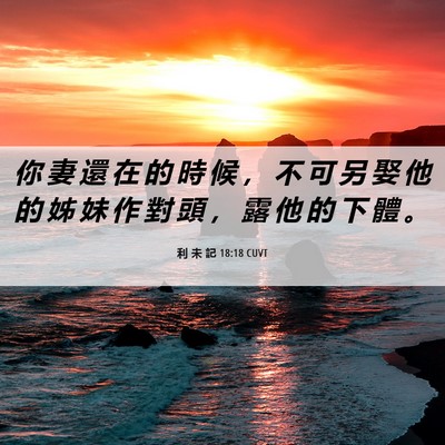 Picture 06 - 利 未 記 18:18 CUVT - 你 妻 還 在 的 時 候 ， 不 可 另 娶 - Bible Verse Picture