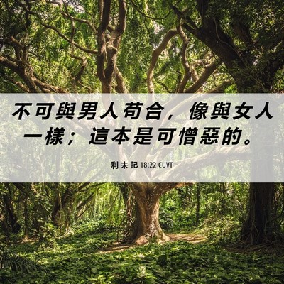 Picture 06 - 利 未 記 18:22 CUVT - 不 可 與 男 人 苟 合 ， 像 與 女 人 - Bible Verse Picture