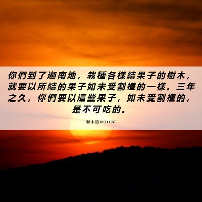 Picture 06 - 利 未 記 19:23 CUVT - 你 們 到 了 迦 南 地 ， 栽 種 各 樣 - Bible Verse Picture