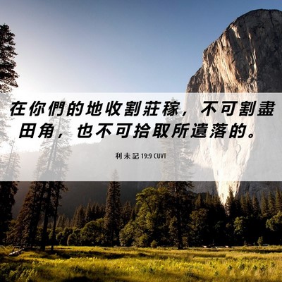 Picture 06 - 利 未 記 19:9 CUVT - 在 你 們 的 地 收 割 莊 稼 ， 不 可 - Bible Verse Picture