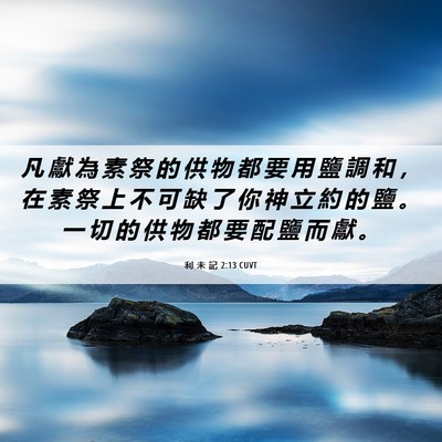 Picture 06 - 利 未 記 2:13 CUVT - 凡 獻 為 素 祭 的 供 物 都 要 用 鹽 - Bible Verse Picture