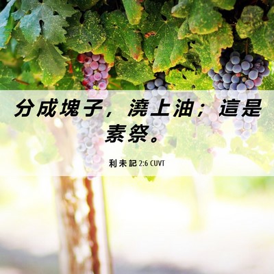 Picture 06 - 利 未 記 2:6 CUVT - 分 成 塊 子 ， 澆 上 油 ； 這 是 素 - Bible Verse Picture