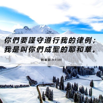 Picture 06 - 利 未 記 20:8 CUVT - 你 們 要 謹 守 遵 行 我 的 律 例 ； - Bible Verse Picture