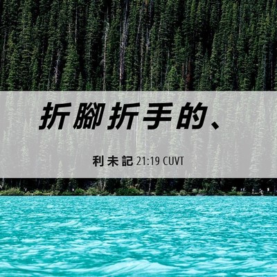 Picture 06 - 利 未 記 21:19 CUVT - 折 腳 折 手 的 - Bible Verse Picture