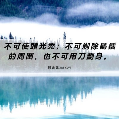 Picture 06 - 利 未 記 21:5 CUVT - 不 可 使 頭 光 禿 ； 不 可 剃 除 鬍 - Bible Verse Picture