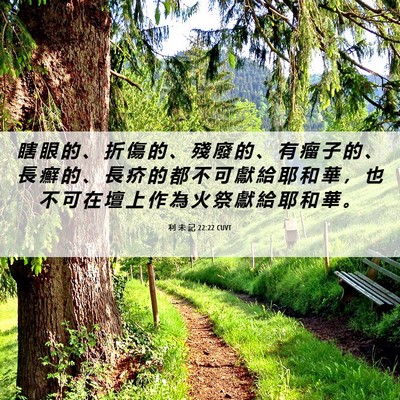 Picture 06 - 利 未 記 22:22 CUVT - 瞎 眼 的 、 折 傷 的 、 殘 廢 的 、 - Bible Verse Picture