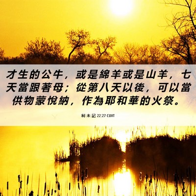 Picture 06 - 利 未 記 22:27 CUVT - 才 生 的 公 牛 ， 或 是 綿 羊 或 是 - Bible Verse Picture