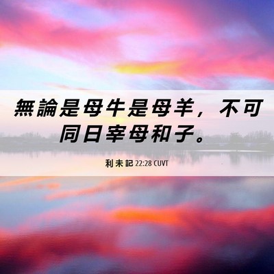 Picture 06 - 利 未 記 22:28 CUVT - 無 論 是 母 牛 是 母 羊 ， 不 可 同 - Bible Verse Picture