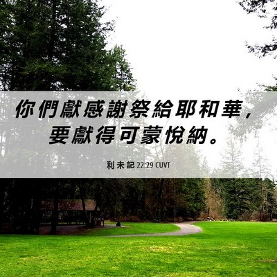 Picture 06 - 利 未 記 22:29 CUVT - 你 們 獻 感 謝 祭 給 耶 和 華 ， 要 - Bible Verse Picture