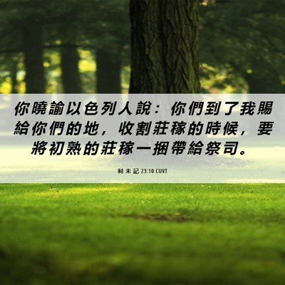 Picture 06 - 利 未 記 23:10 CUVT - 你 曉 諭 以 色 列 人 說 ： 你 們 到 - Bible Verse Picture
