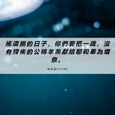 Picture 06 - 利 未 記 23:12 CUVT - 搖 這 捆 的 日 子 ， 你 們 要 把 一 - Bible Verse Picture