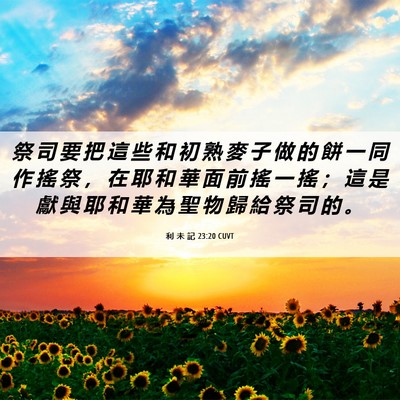Picture 06 - 利 未 記 23:20 CUVT - 祭 司 要 把 這 些 和 初 熟 麥 子 做 - Bible Verse Picture