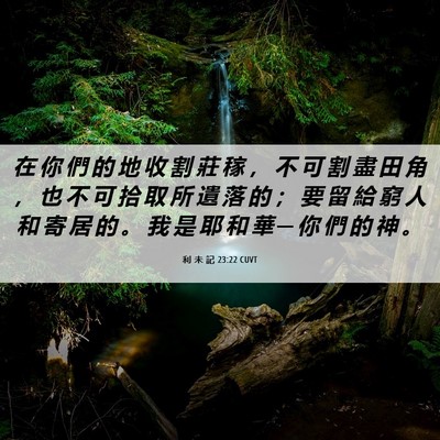 Picture 06 - 利 未 記 23:22 CUVT - 在 你 們 的 地 收 割 莊 稼 ， 不 可 - Bible Verse Picture