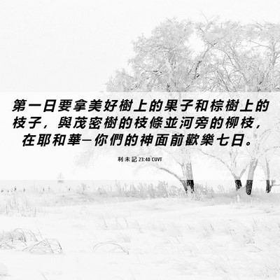 Picture 06 - 利 未 記 23:40 CUVT - 第 一 日 要 拿 美 好 樹 上 的 果 子 - Bible Verse Picture