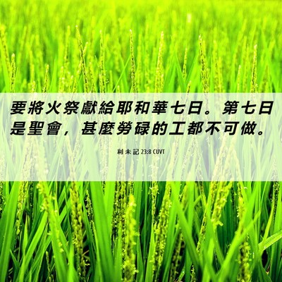 Picture 06 - 利 未 記 23:8 CUVT - 要 將 火 祭 獻 給 耶 和 華 七 日 。 - Bible Verse Picture