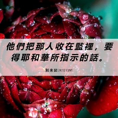 Picture 06 - 利 未 記 24:12 CUVT - 他 們 把 那 人 收 在 監 裡 ， 要 得 - Bible Verse Picture