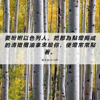 Picture 06 - 利 未 記 24:2 CUVT - 要 吩 咐 以 色 列 人 ， 把 那 為 點 - Bible Verse Picture