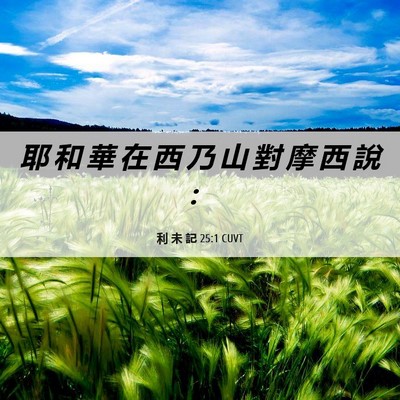 Picture 06 - 利 未 記 25:1 CUVT - 耶 和 華 在 西 乃 山 對 摩 西 說 - Bible Verse Picture