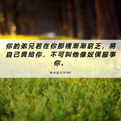 Picture 06 - 利 未 記 25:39 CUVT - 你 的 弟 兄 若 在 你 那 裡 漸 漸 窮 - Bible Verse Picture