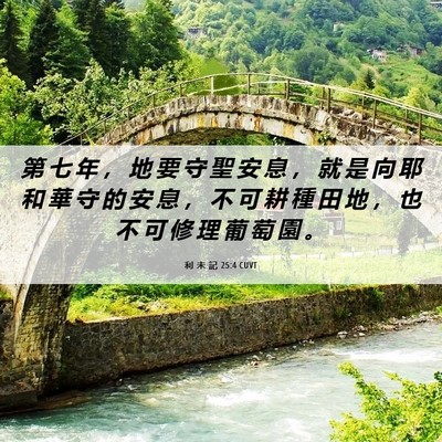 Picture 06 - 利 未 記 25:4 CUVT - 第 七 年 ， 地 要 守 聖 安 息 ， 就 - Bible Verse Picture