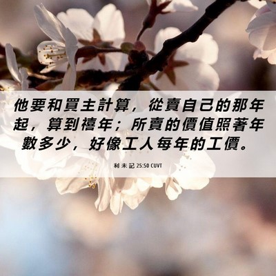 Picture 06 - 利 未 記 25:50 CUVT - 他 要 和 買 主 計 算 ， 從 賣 自 己 - Bible Verse Picture