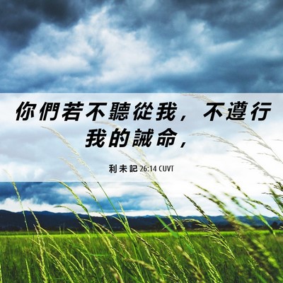 Picture 06 - 利 未 記 26:14 CUVT - 你 們 若 不 聽 從 我 ， 不 遵 行 我 - Bible Verse Picture
