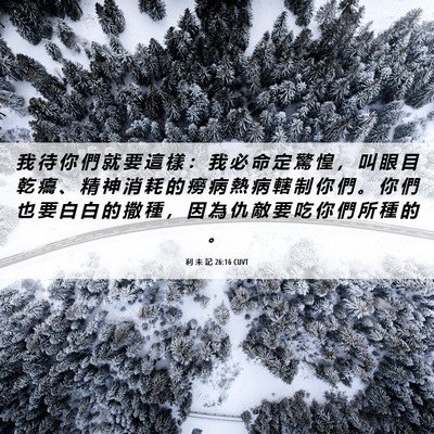 Picture 06 - 利 未 記 26:16 CUVT - 我 待 你 們 就 要 這 樣 ： 我 必 命 - Bible Verse Picture