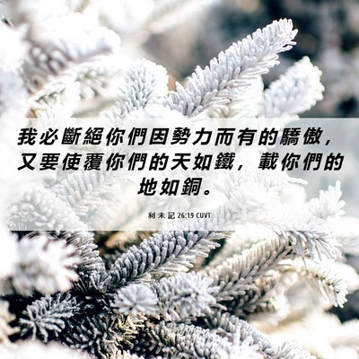 Picture 06 - 利 未 記 26:19 CUVT - 我 必 斷 絕 你 們 因 勢 力 而 有 的 - Bible Verse Picture