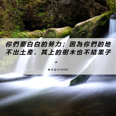 Picture 06 - 利 未 記 26:20 CUVT - 你 們 要 白 白 的 勞 力 ； 因 為 你 - Bible Verse Picture