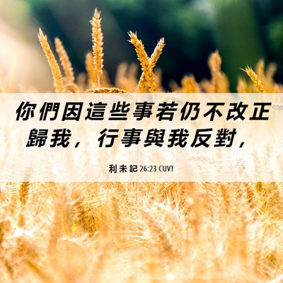 Picture 06 - 利 未 記 26:23 CUVT - 你 們 因 這 些 事 若 仍 不 改 正 歸 - Bible Verse Picture