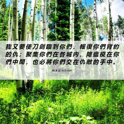 Picture 06 - 利 未 記 26:25 CUVT - 我 又 要 使 刀 劍 臨 到 你 們 ， 報 - Bible Verse Picture