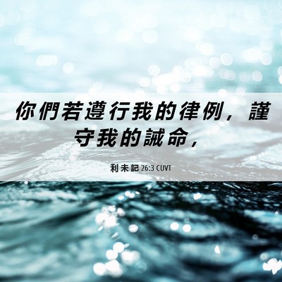 Picture 06 - 利 未 記 26:3 CUVT - 你 們 若 遵 行 我 的 律 例 ， 謹 守 - Bible Verse Picture