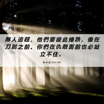 Picture 06 - 利 未 記 26:37 CUVT - 無 人 追 趕 ， 他 們 要 彼 此 撞 跌 - Bible Verse Picture