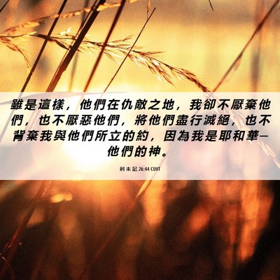 Picture 06 - 利 未 記 26:44 CUVT - 雖 是 這 樣 ， 他 們 在 仇 敵 之 地 - Bible Verse Picture