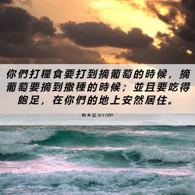 Picture 06 - 利 未 記 26:5 CUVT - 你 們 打 糧 食 要 打 到 摘 葡 萄 的 - Bible Verse Picture