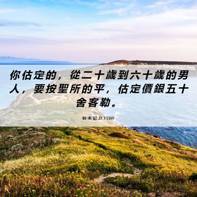 Picture 06 - 利 未 記 27:3 CUVT - 你 估 定 的 ， 從 二 十 歲 到 六 十 - Bible Verse Picture