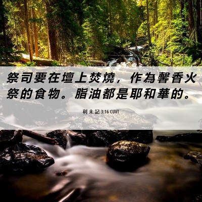Picture 06 - 利 未 記 3:16 CUVT - 祭 司 要 在 壇 上 焚 燒 ， 作 為 馨 - Bible Verse Picture