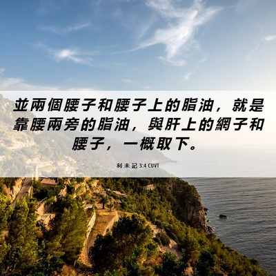 Picture 06 - 利 未 記 3:4 CUVT - 並 兩 個 腰 子 和 腰 子 上 的 脂 油 - Bible Verse Picture