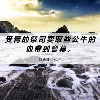 Picture 06 - 利 未 記 4:16 CUVT - 受 膏 的 祭 司 要 取 些 公 牛 的 血 - Bible Verse Picture