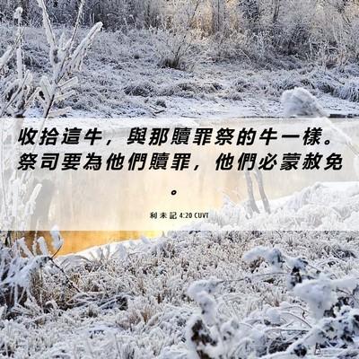 Picture 06 - 利 未 記 4:20 CUVT - 收 拾 這 牛 ， 與 那 贖 罪 祭 的 牛 - Bible Verse Picture