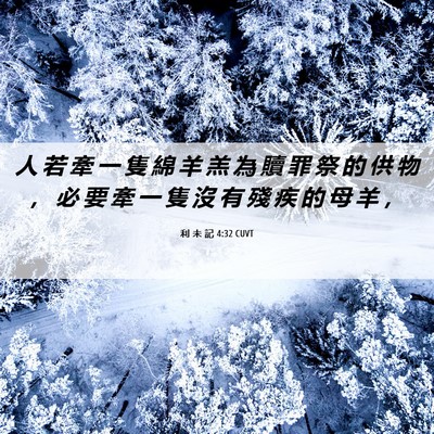 Picture 06 - 利 未 記 4:32 CUVT - 人 若 牽 一 隻 綿 羊 羔 為 贖 罪 祭 - Bible Verse Picture