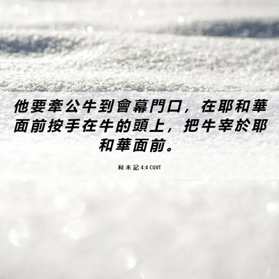 Picture 06 - 利 未 記 4:4 CUVT - 他 要 牽 公 牛 到 會 幕 門 口 ， 在 - Bible Verse Picture