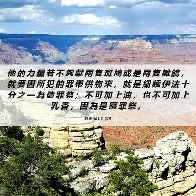 Picture 06 - 利 未 記 5:11 CUVT - 他 的 力 量 若 不 夠 獻 兩 隻 斑 鳩 - Bible Verse Picture